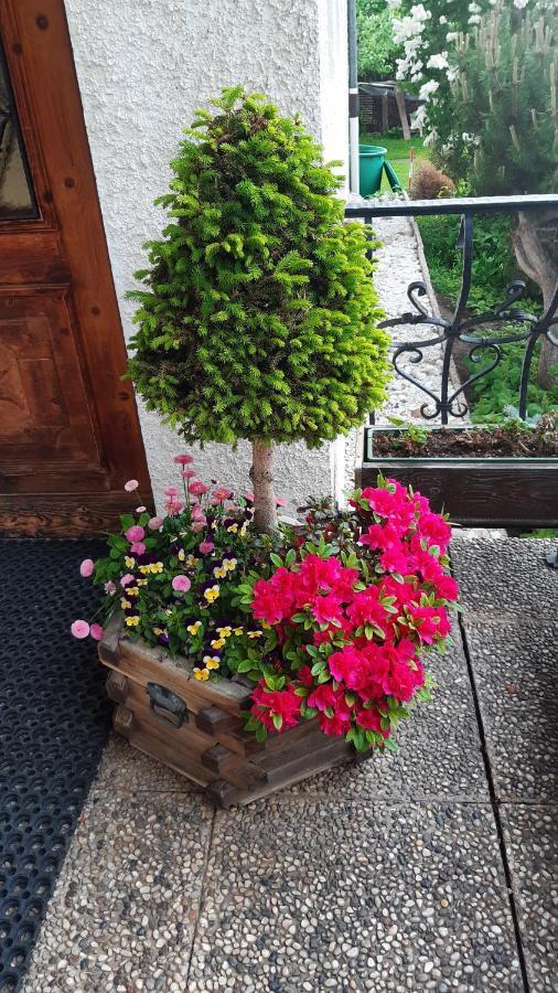 Apartamento App Brunner Olang Exterior foto